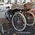 Randy Laub's profile image