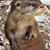 Steve VanValkenburg's profile image