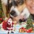 Rosa Mendez's profile image