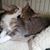 Beth Kmi's profile image
