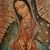 Tammy Molina's profile image