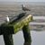 Mary Ann Bienas's profile image