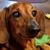 Jc Deem's profile image