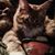Ulv Helseth's profile image