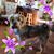 Connie Payne Hall's profile image