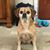 Kristy Marrs Goff's profile image