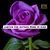 Donna Pryor's profile image