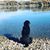 Cyndi Johnson's profile image