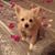 Nancy Flemming Spisak's profile image