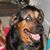 Mary K. Carter's profile image