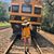 Diana Piñones's profile image