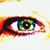 Diane Gorski's profile image