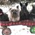Marilee Clark's profile image