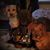 Laurie Clark's profile image
