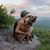 Diana Richards's profile image