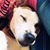 Christine Duggan Lord's profile image