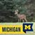 Pennie Robbins's profile image