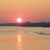 Cheryl Greiner's profile image