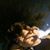 Diego Martinez's profile image