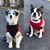Jenny Dailey's profile image