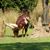 Suellen Bush Louden's profile image