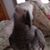 Christopher Michael Steimle's profile image