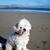 Rocky Montgomery's profile image
