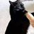 Gloria Aguilar Floreƺ's profile image