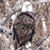 Karl A. Lurvey's profile image