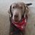 Leslie Hutchings Miller's profile image