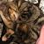 Heather Mitchell's profile image