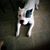 Landyn Willis's profile image