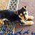 Roylynn Trahan's profile image