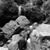 Rosemary Rohall-Schemonitz's profile image