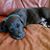 Melissa Kindle's profile image