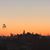 Laura Clark's profile image