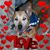 Debbie Terpin's profile image