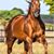 Eliezer Quintana's profile image