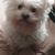 Gary Breedlove's profile image