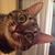 Pamela Jones's profile image