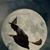 Hazel Mitton's profile image