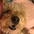 Melissa Alday's profile image
