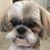 Martha Pierce's profile image