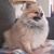 Nola Podolan's profile image
