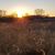 Susan Hunt Lange's profile image