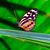 Joyce Burns's profile image