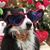 Luli Calvo's profile image