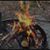 Nora Birt's profile image