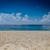 Terri Martin Rinehart's profile image