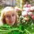 Rita Claudette Martorano's profile image